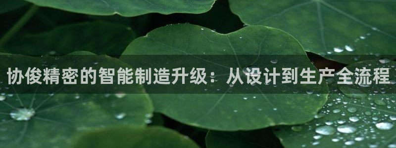 彩神v8是一个什么平台啊：协俊精密的智能制造升级：从设计到生产全流程