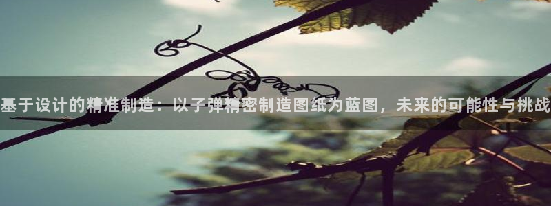 彩神vii手游下载：基于设计的精准制造：以子弹精密制造图纸为蓝图，未来的可能性与挑战
