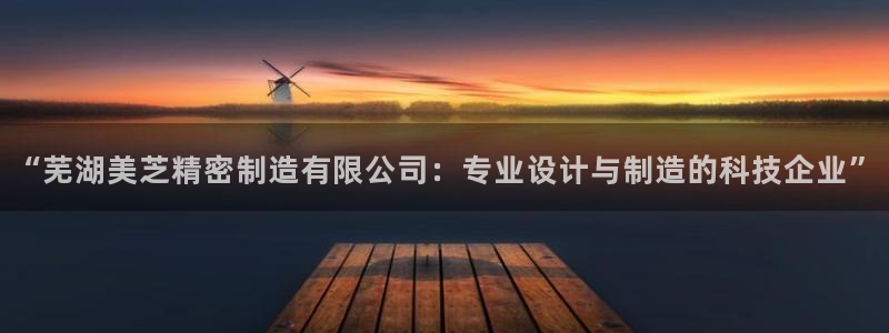 彩神大发cp：“芜湖美芝精密制造有限公司：专业设计与制造的科技企业”