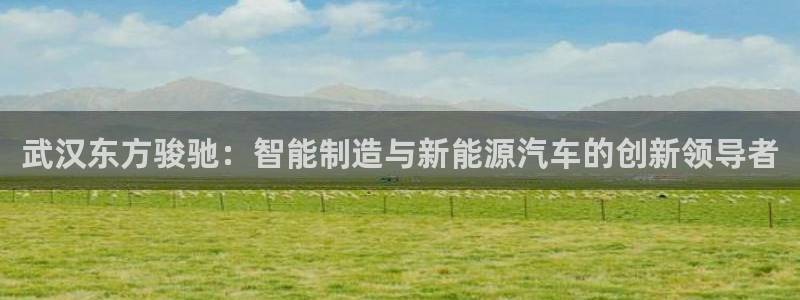 彩神v8iii：武汉东方骏驰：智能制造与新能源汽车的创新领导者
