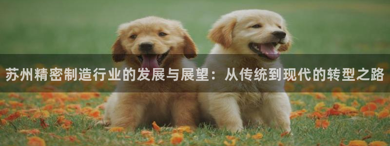 彩神V集团公司：苏州精密制造行业的发展与展望：从传统到现代的转型之路