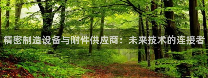 彩神vll首页环球：精密制造设备与附件供应商：未来技术的连接者