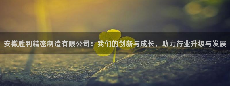 彩神v违法么：安徽胜利精密制造有限公司：我们的创新与成长，助力行业升级与发展