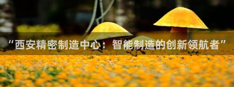 彩神v8平台正规吗安全吗：“西安精密制造中心：智能制造的创新领航者”