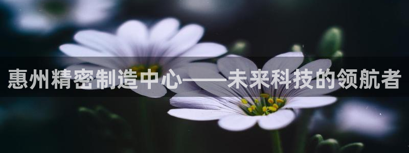 大发彩神最高邀请码：惠州精密制造中心——未来科技的领航者