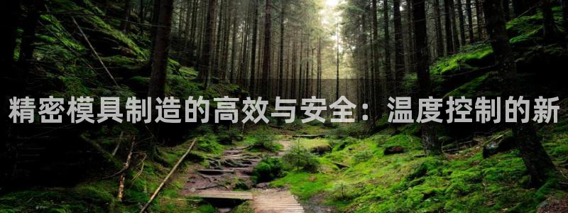 彩神v8app：精密模具制造的高效与安全：温度控制的新