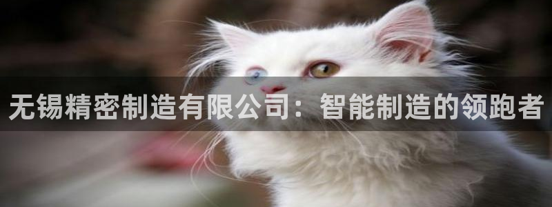 彩神v：无锡精密制造有限公司：智能制造的领跑者