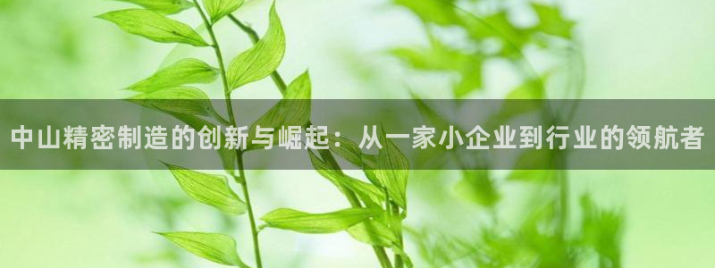 彩神大发是不是人为操作：中山精密制造的创新与崛起：从一家小企业到行业的领航者