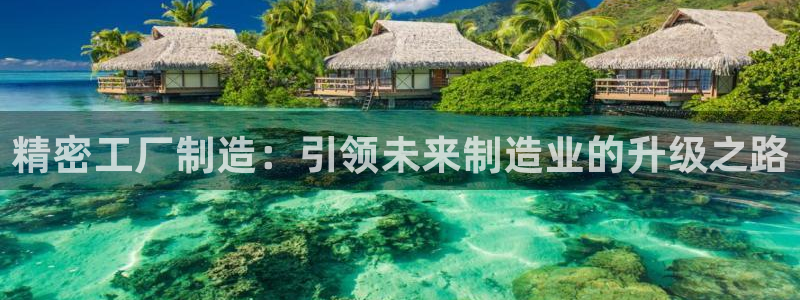 彩神平台之间是什么关系：精密工厂制造：引领未来制造业的升级之路