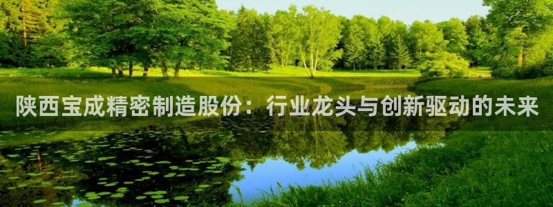 彩神购彩-购彩大厅入口下载：陕西宝成精密制造股份：行业龙头与创新驱动的未来