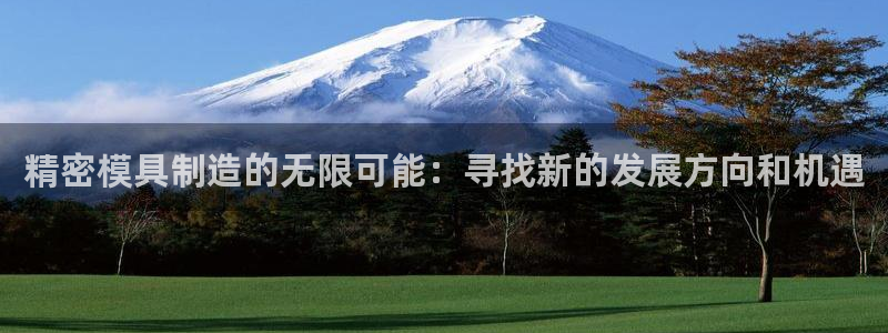 彩神官方邀请码是多少：精密模具制造的无限可能：寻找新的发展方向和机遇