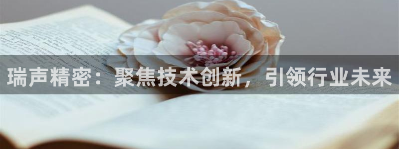 彩神网能赚钱是怎么回事：瑞声精密：聚焦技术创新，引领行业未来
