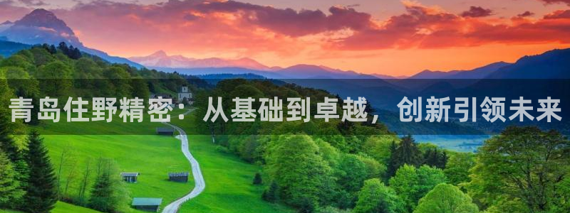 彩神vlll官网网上购彩：青岛住野精密：从基础到卓越，创新引领未来