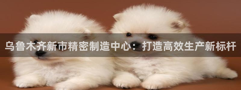 彩神V3大赢家：乌鲁木齐新市精密制造中心：打造高效生产新标杆