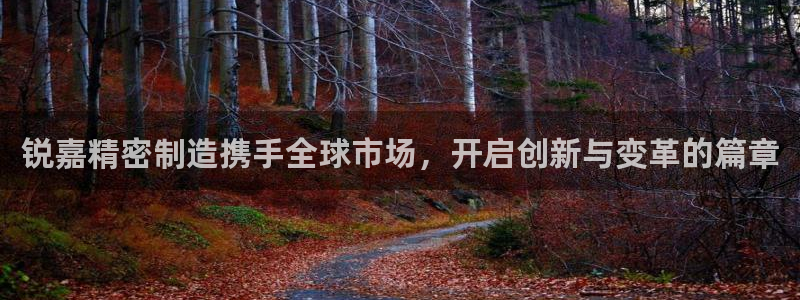 新版彩神v8登录教程：锐嘉精密制造携手全球市场，开启创新与变革的篇章