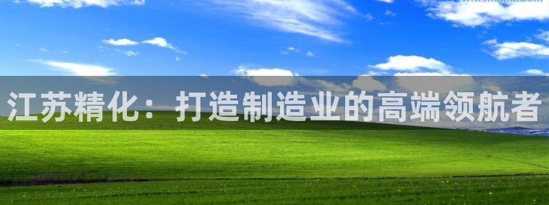 彩神v平台：江苏精化：打造制造业的高端领航者