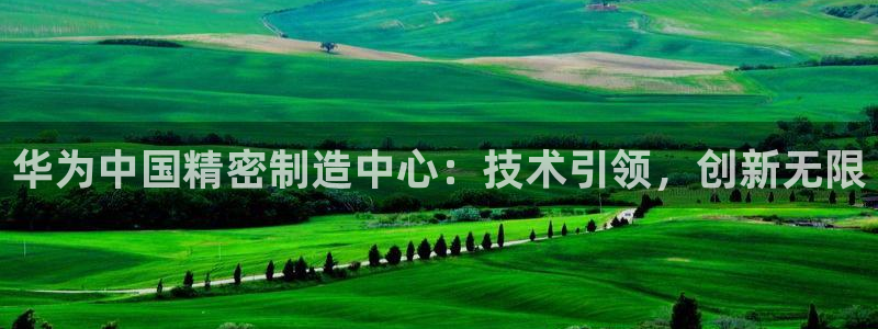彩神8彩平台：华为中国精密制造中心：技术引领，创新无限