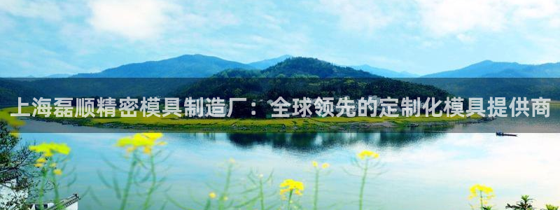 彩神v8下载：上海磊顺精密模具制造厂：全球领先的定制化模具提供商