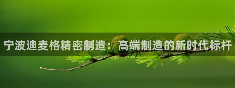 彩神购彩-购彩大厅入口500：宁波迪麦格精密制造：高端制造的新时代标杆