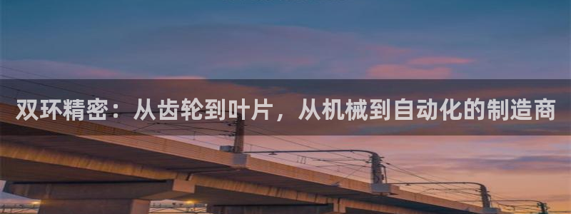 彩神Vll：双环精密：从齿轮到叶片，从机械到自动化的制造商