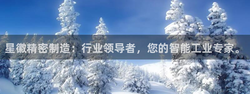 彩神ix能赚钱吗：星徽精密制造：行业领导者，您的智能工业专家。