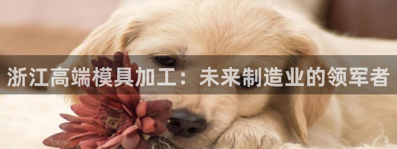 彩神v网赌软件下载：浙江高端模具加工：未来制造业的领军者