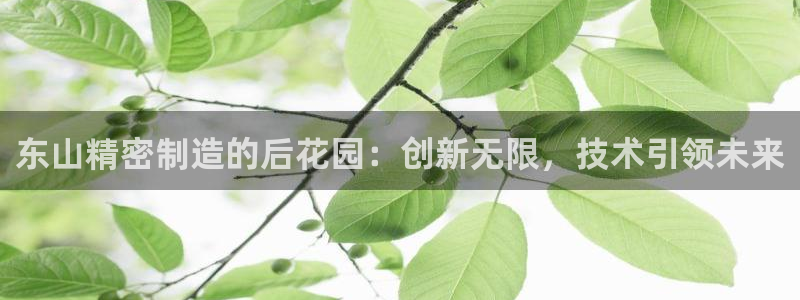 彩神赢钱了吗知乎：东山精密制造的后花园：创新无限，技术引领未来