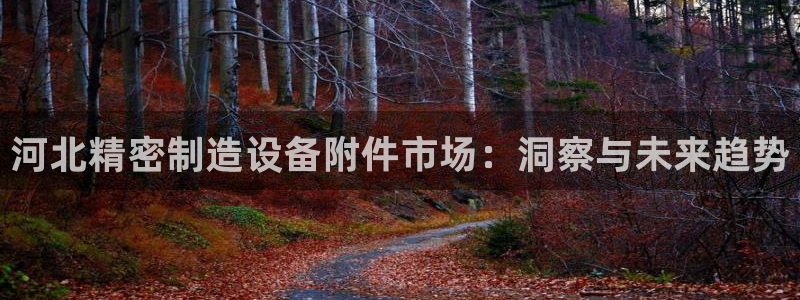 新版彩神v8登录：河北精密制造设备附件市场：洞察与未来趋势