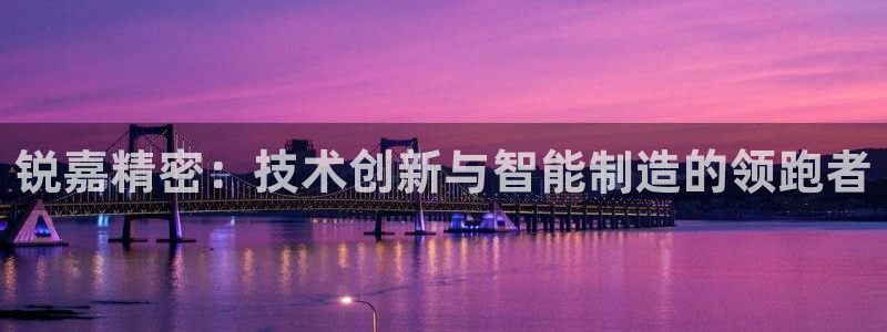 在彩神网输了六万多怎么拿回来：锐嘉精密：技术创新与智能制造的领跑者