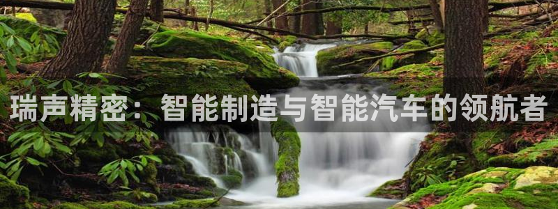 彩神官方邀请码是多少：瑞声精密：智能制造与智能汽车的领航者