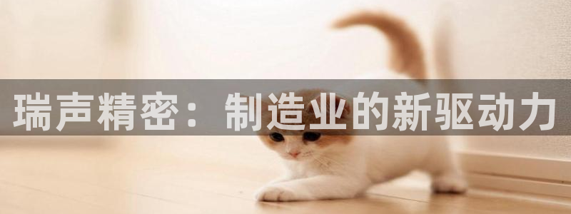 v彩神88iii：瑞声精密：制造业的新驱动力