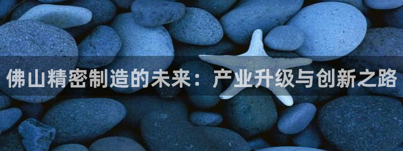 彩神ix可靠吗：佛山精密制造的未来：产业升级与创新之路