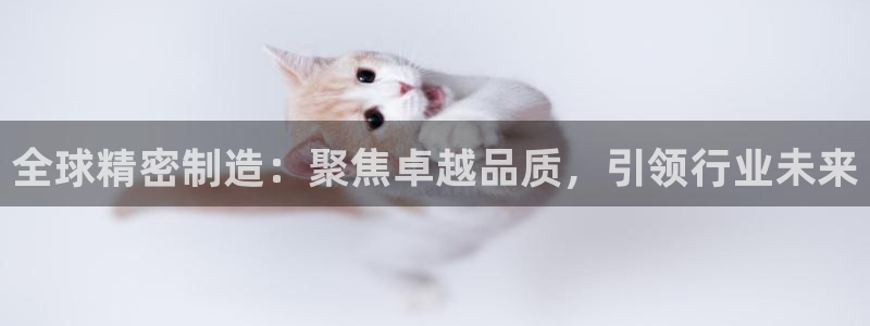 彩神网正规吗：全球精密制造：聚焦卓越品质，引领行业未来