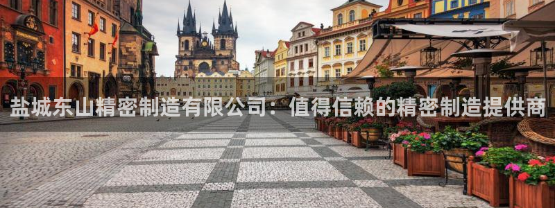 彩神v8客户端：盐城东山精密制造有限公司：值得信赖的精密制造提供商