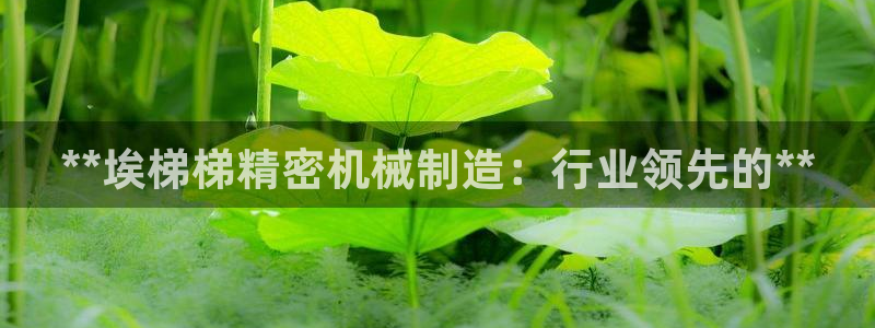 彩神v8平台正规吗知乎：**埃梯梯精密机械制造：行业领先的**