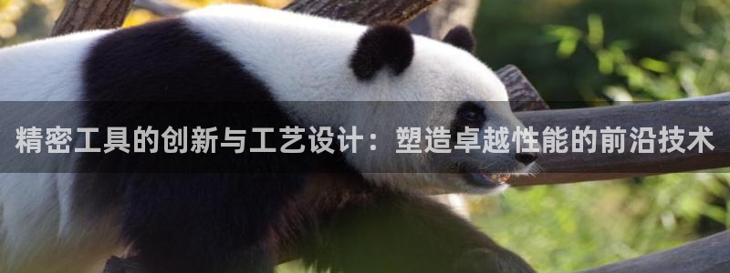 新版彩神v8登录不上去：精密工具的创新与工艺设计：塑造卓越性能的前沿技术