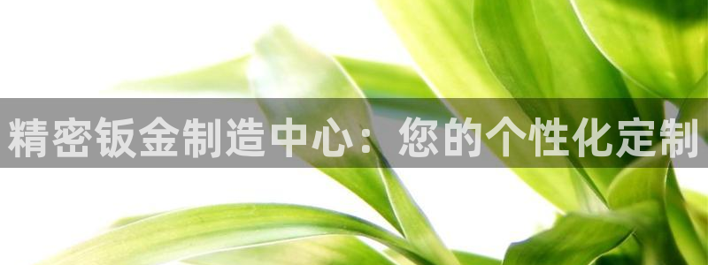 彩神大发三期计划网站：精密钣金制造中心：您的个性化定制