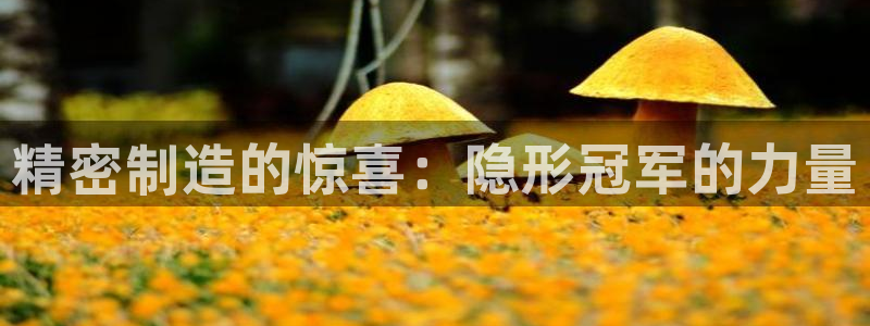 彩神ⅴll用户登录：精密制造的惊喜：隐形冠军的力量