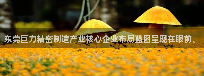 彩神viii下载安卓：东莞巨力精密制造产业核心企业布局蓝图呈现在眼前。