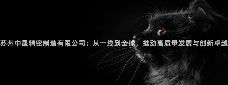 彩神大发cp：苏州中晟精密制造有限公司：从一线到全球，推动高质量发展与创新卓越