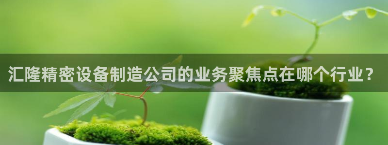 彩神V集团公司：汇隆精密设备制造公司的业务聚焦点在哪个行业？