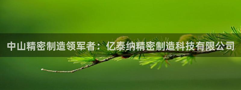 彩神Vll购彩大厅：中山精密制造领军者：亿泰纳精密制造科技有限公司