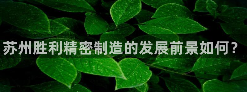 彩神v8是一个什么平台啊：苏州胜利精密制造的发展前景如何？