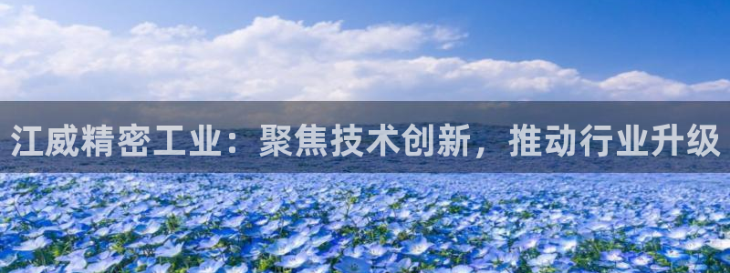 彩神争霸平台：江威精密工业：聚焦技术创新，推动行业升级