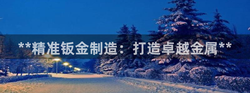 彩神v8下载app5.0：**精准钣金制造：打造卓越金属**