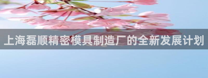 彩神vll购彩大厅大众：上海磊顺精密模具制造厂的全新发展计划