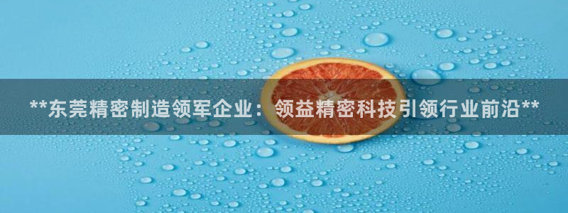 彩神V8有限公司：**东莞精密制造领军企业：领益精密科技引领行业前沿**