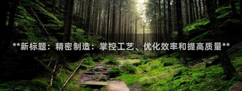 彩神vii官网大赢家：**新标题：精密制造：掌控工艺、优化效率和提高质量**