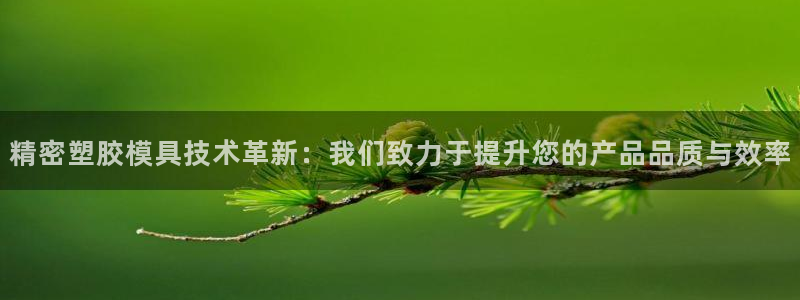 所有彩神购买首页都一样吗：精密塑胶模具技术革新：我们致力于提升您的产品品质与效率