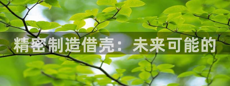 彩神v8平台正规吗可靠吗：精密制造借壳：未来可能的